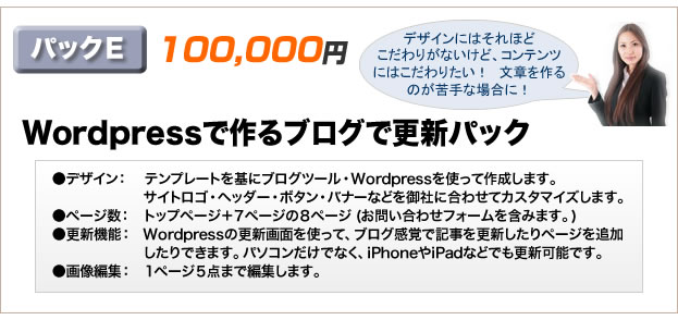 パックＥ　Wordpressで作るブログで簡単更新パック 100,000円